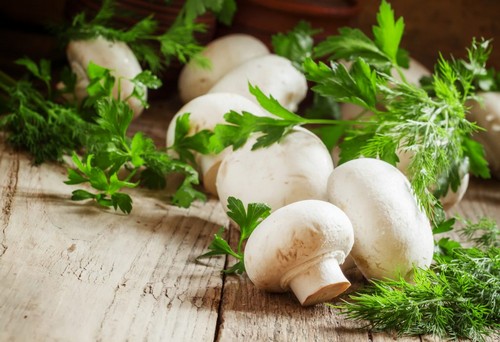 Разрешено ли употреблять грибы при панкреатите?