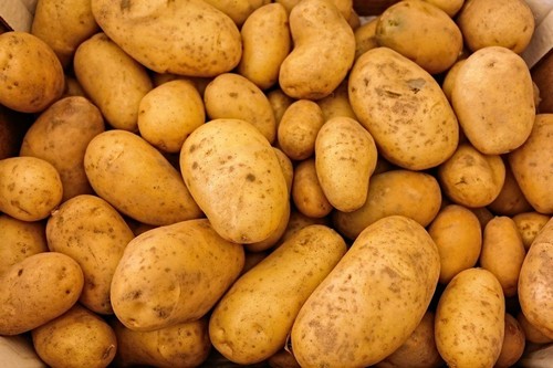 Картофель (картошка) при панкреатите