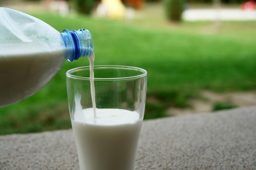 Козье молоко не провоцирует расстройств в деятельности поджелудочной железы