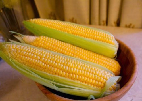 Химический состав кукурузы богат витаминами и минералами